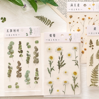 1 Tấm Hình Dán Trong Suốt Chống Nước Dùng Trang Trí Sổ Tay Độc Đáo