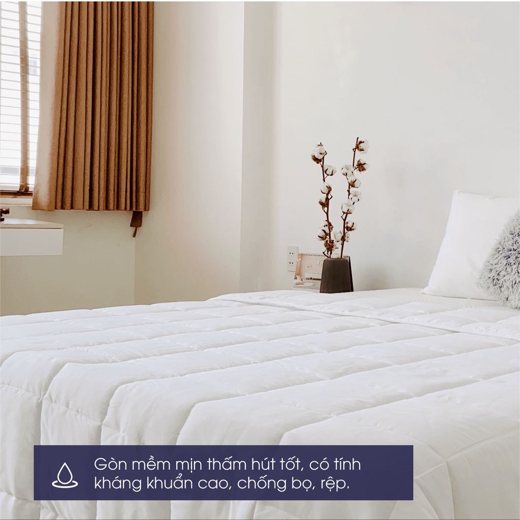 Ảnh Ruột chăn bông gòn Changmi tiêu chuẩn khách sạn 4 sao 2