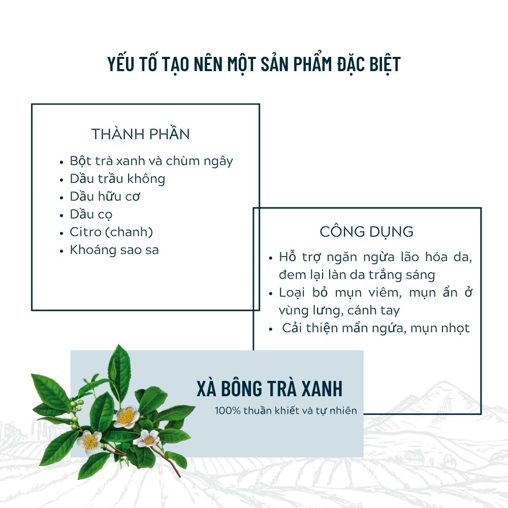 Ảnh Xà Bông Sinh Dược Giảm Mụn Lưng Thiên Nhiên Trà Xanh DEGO PHARMA 100G -  Mát Da & Dưỡng Da Mịn Màng 2