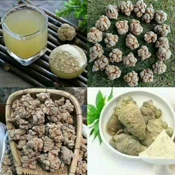 sỉ lẻ bột tam thất 100g - 200g - 300g