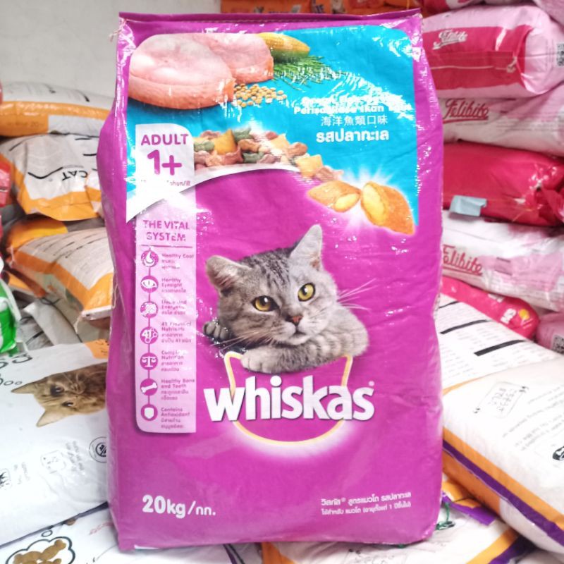 Whiskas 20kg top