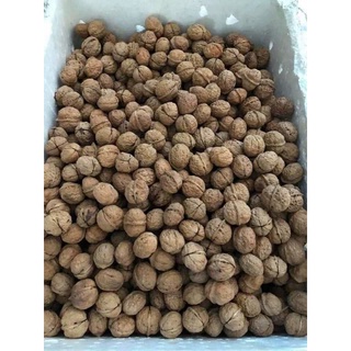 [ƯU ĐÃI] 400gr nhân quả óc chó đỏ nhập khẩu từ Mỹ, hàng loại 1, cánh nguyên