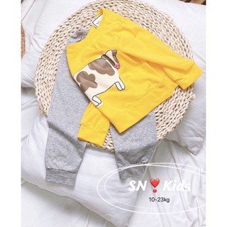 Bộ dài bé trai, bộ cotton dài tay bé trai, bộ chui đầu bé trai chất mát