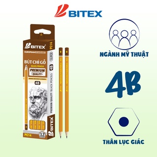 Hộp 12 Bút chì 2B/4B/6B/8B Bitex mỹ thuật chuyên dụng