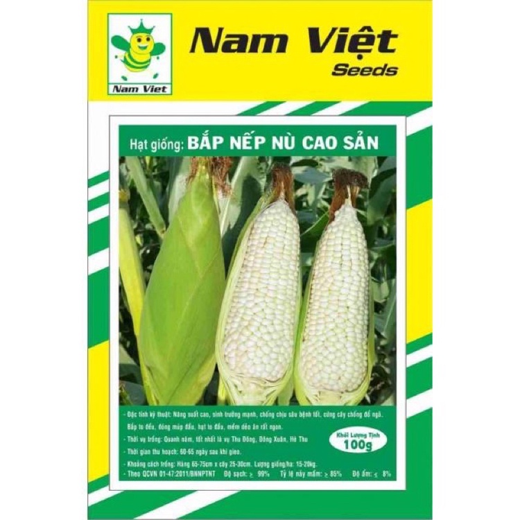 Hạt Giống Bắp Nếp Nù Cao Sản 100g Nam Việt 