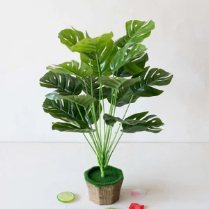 Cây Lá Rùa / Lá trầu bà rách / Monstera Trang Trí 30cm 55cm 76cm - Cây giả decor
