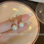 Bông tai titan không gỉ mạ vàng 18k thiết kế ngọc trai nhân tạo thời trang thanh lịch dành cho nữ