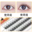 1 Hộp 120 Cụm Đuôi Cá Phong Cách Ghép Lông Mi Siêu Nhiên Mềm Mại Trang Điểm Lông Mi Mô Phỏng Cụm Đơn Phân Đoạn Lông Mi