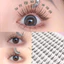 Hộp Lông Mi Giả Trang Điểm Tự Nhiên Cỡ Lớn