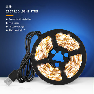 5V RGB LED Strip Light USB 5 V PC TV Backlight 2835 1m 2m 3m 4m 5m 5V Volt USB Led Strip RGB Đèn Băng Diode Ribbon