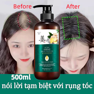 ????????Chính Hãng???????? Dầu gội gừng chống rụng tóc dầu gội đầu mọc tóc thảo dược dưỡng sinh kiểm soát dầu loại bỏ gàu 500ML Phục hồi tóc hư tổn, Làm khỏe chân tóc, Giảm rụng tóc, Kích thích mọc tóc, Giải quyết vấn đề hói đầu