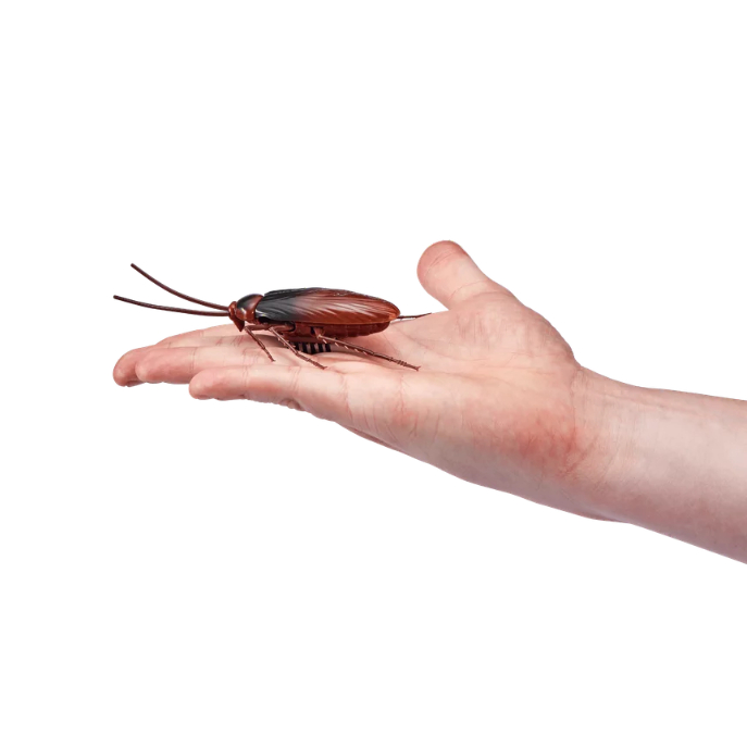 Robo Alive Electronic Crawling Cockroach Battery-Powered Robotic Toy by ZURU - Electronic Pet Đồ Chơi Robot Hút Gián Điện Tử Sử Dụng Pin ZURU