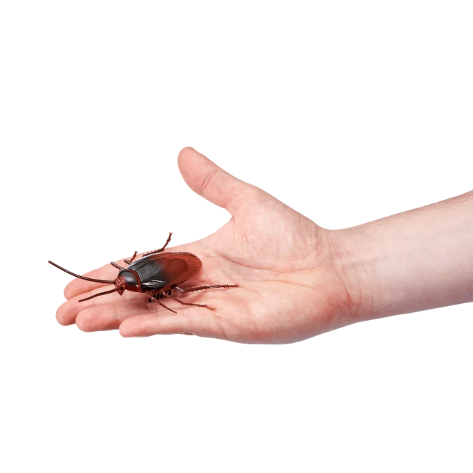 Robo Alive Electronic Crawling Cockroach Battery-Powered Robotic Toy by ZURU - Electronic Pet Đồ Chơi Robot Hút Gián Điện Tử Sử Dụng Pin ZURU