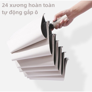 Dù Gấp Tự Động 2 Chiều Luyoo19 24 Xương