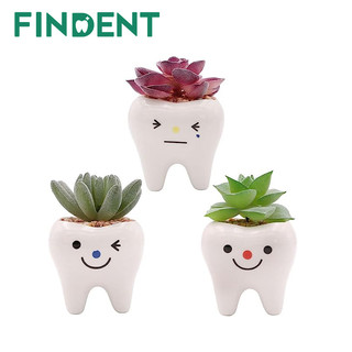 1 cái chậu gốm trắng trồng cây mọng nước phong cách hiện đại, chậu hoa nhỏ để bàn làm việc, văn phòng, đựng bút chì, trồng xương rồng, quà tặng cho người lớn/trẻ em/phụ nữ/nha sĩ