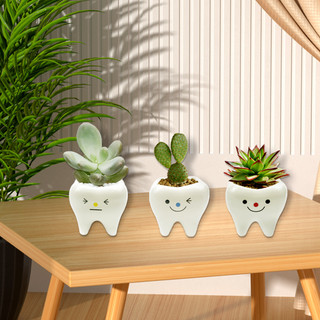 1 cái chậu gốm trắng trồng cây mọng nước phong cách hiện đại, chậu hoa nhỏ để bàn làm việc, văn phòng, đựng bút chì, trồng xương rồng, quà tặng cho người lớn/trẻ em/phụ nữ/nha sĩ