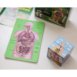 Đồ Chơi Khối Rubik Cấu Trúc Cơ Thể Người Giáo Dục Sớm Cho Trẻ Em