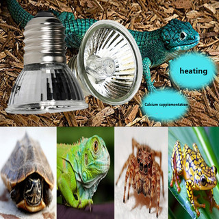 Đèn sưởi bò sát 25 / 50 / 75W Bóng đèn nhiệt Rùa Basking Bóng đèn UV Động vật lưỡng cư Thằn lằn Bộ điều khiển nhiệt độ