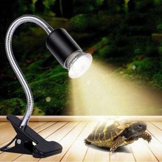 Đèn sưởi bò sát 25 / 50 / 75W Bóng đèn nhiệt Rùa Basking Bóng đèn UV Động vật lưỡng cư Thằn lằn Bộ điều khiển nhiệt độ