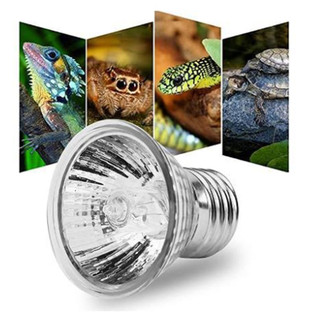 Đèn sưởi bò sát 25 / 50 / 75W Bóng đèn nhiệt Rùa Basking Bóng đèn UV Động vật lưỡng cư Thằn lằn Bộ điều khiển nhiệt độ