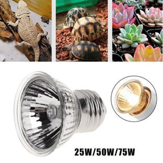Đèn sưởi thú cưng 25/50/75W, bổ sung canxi, chống nắng, UV cho rùa, lưỡng cư, thằn lằn, bộ điều khiển nhiệt độ