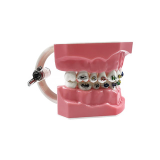 Mô Hình Hỗ Trợ Học Tập Chỉnh Hình Bằng Dây Kim Loại Và Giá Đỡ Tiện Dụng Cho Người Lớn Và Trẻ Em