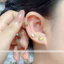 Bông tai titan cao cấp không gỉ mạ vàng 24k hình mèo con xinh xắn phong cách trẻ trung đáng yêu dành cho nữ