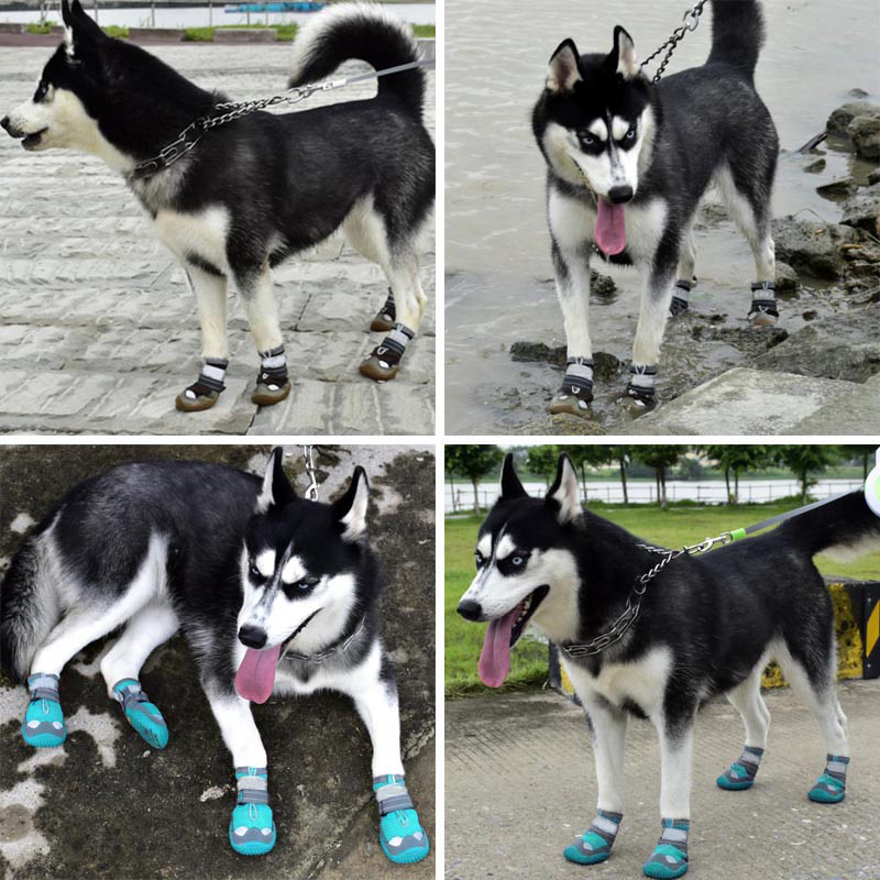 HamshMoc Giày bốt cho chó Giày cho chó thoáng khí Booties cho chó có đế chống trượt phản quang chắc chắn để chạy bộ ngoài trời Đi bộ đường dài