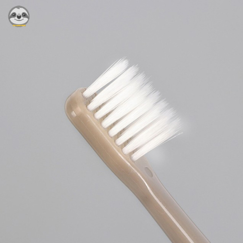 [Hàng có sẵn] Phong cách Muji Nhật Bản / Gói 4 bàn chải đầu nhỏ lông mềm / Bộ bàn chải gia đình / Tiện dụng du lịch