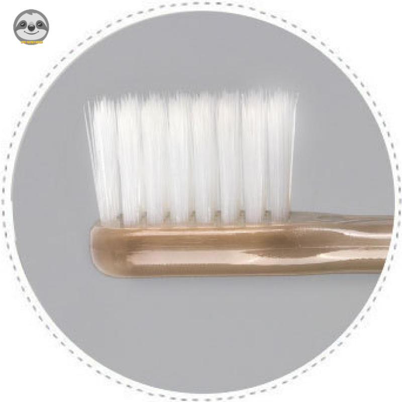 [Hàng có sẵn] Phong cách Muji Nhật Bản / Gói 4 bàn chải đầu nhỏ lông mềm / Bộ bàn chải gia đình / Tiện dụng du lịch