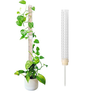 Thanh Giá Đỡ Hỗ Trợ Trồng Cây Dây Leo Chuyên Dụng