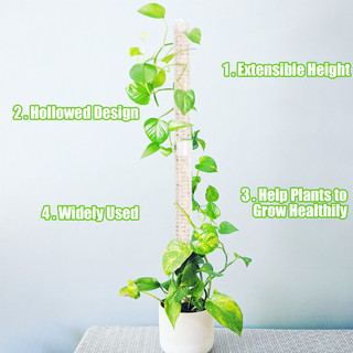 Thanh Giá Đỡ Hỗ Trợ Trồng Cây Dây Leo Chuyên Dụng