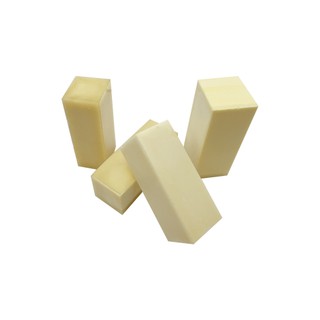 1 Khối Xương Nha Khoa Bằng Nhựa resin