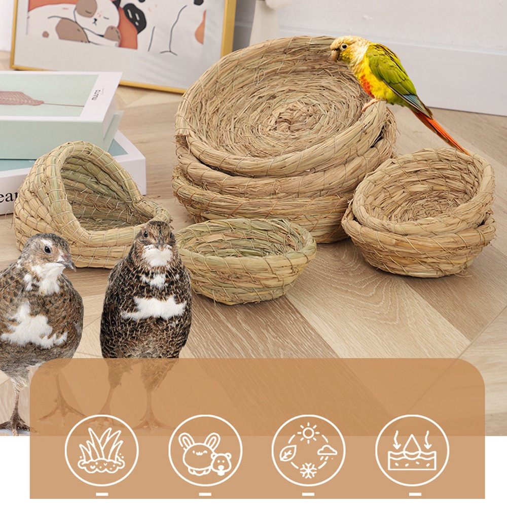 Tổ Chim Bằng Rơm Đan Đế Phẳng Trang Trí Đẹp Mắt | Shopee Việt Nam