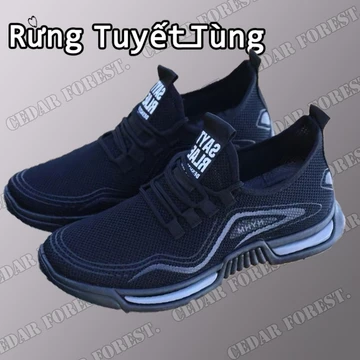 Rừng Tuyết Tùng☘Giày nam mới Giày thể thao mới Giày thể thao nhỏ thoáng khí Giày nam dệt thoáng khíGiày nam Thể thao Thư giãn Thời trang