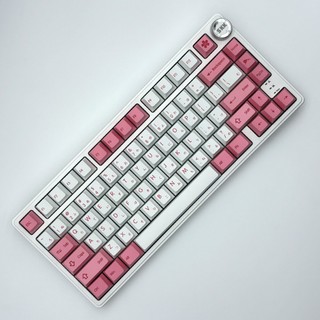 Nút Bàn Phím PBT Nhuộm Màu Tùy Chỉnh Tương Thích Với Công Tắc Cherry Gateron MX