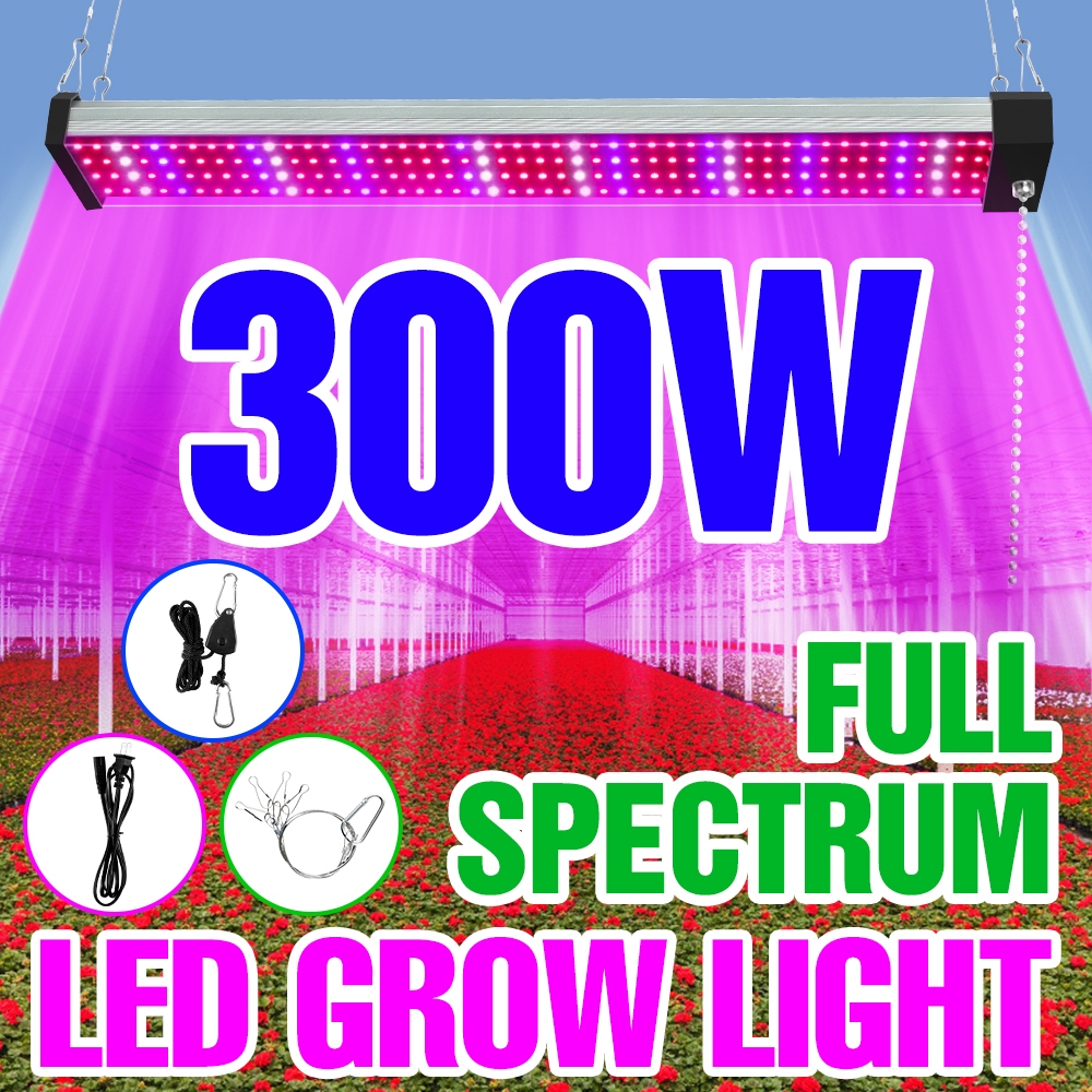 300W Full Spectrum LED Grow Light AC100-277V Khối lượng ánh sáng thực ...