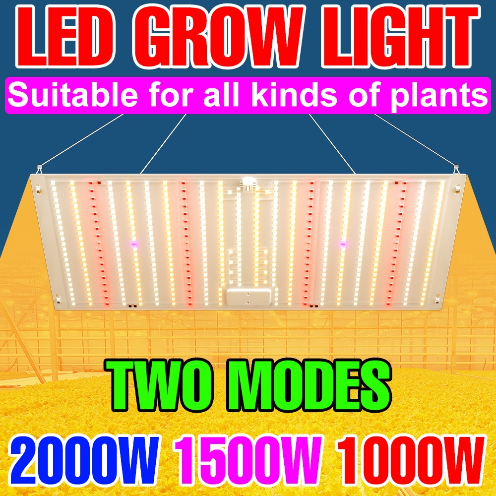 2000W Full Spectrum LED Grow Light Ánh sáng mặt trời cây xanh Ánh sáng ...