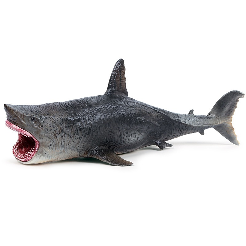 Mô phỏng động vật biển cá mập mô hình Megalodon cá mập trắng đồ chơi trẻ em trang trí