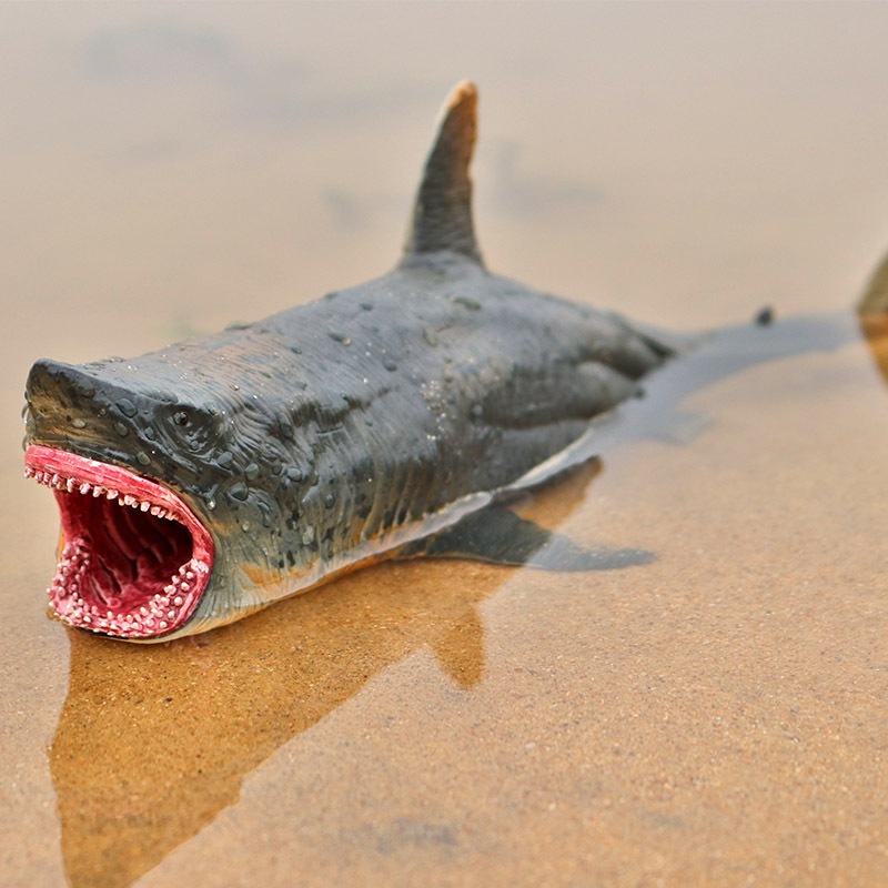 Mô phỏng động vật biển cá mập mô hình Megalodon cá mập trắng đồ chơi trẻ em trang trí