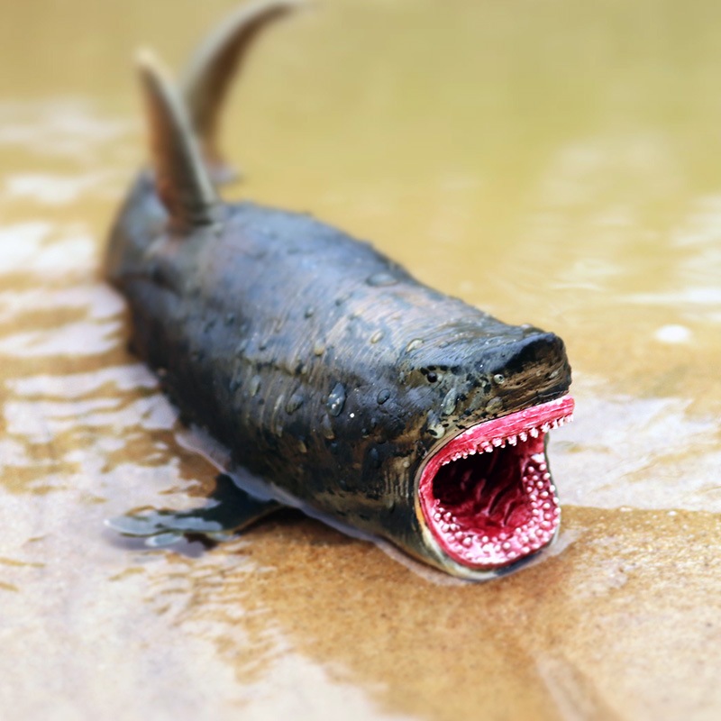Mô phỏng động vật biển cá mập mô hình Megalodon cá mập trắng đồ chơi trẻ em trang trí