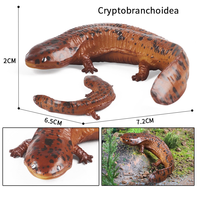 Mô phỏng lưỡng cư mô hình rắn tĩnh búp bê cá Cryptobranchodea khổng lồ salamander trẻ em nhận thức đồ chơi cát bàn trang trí