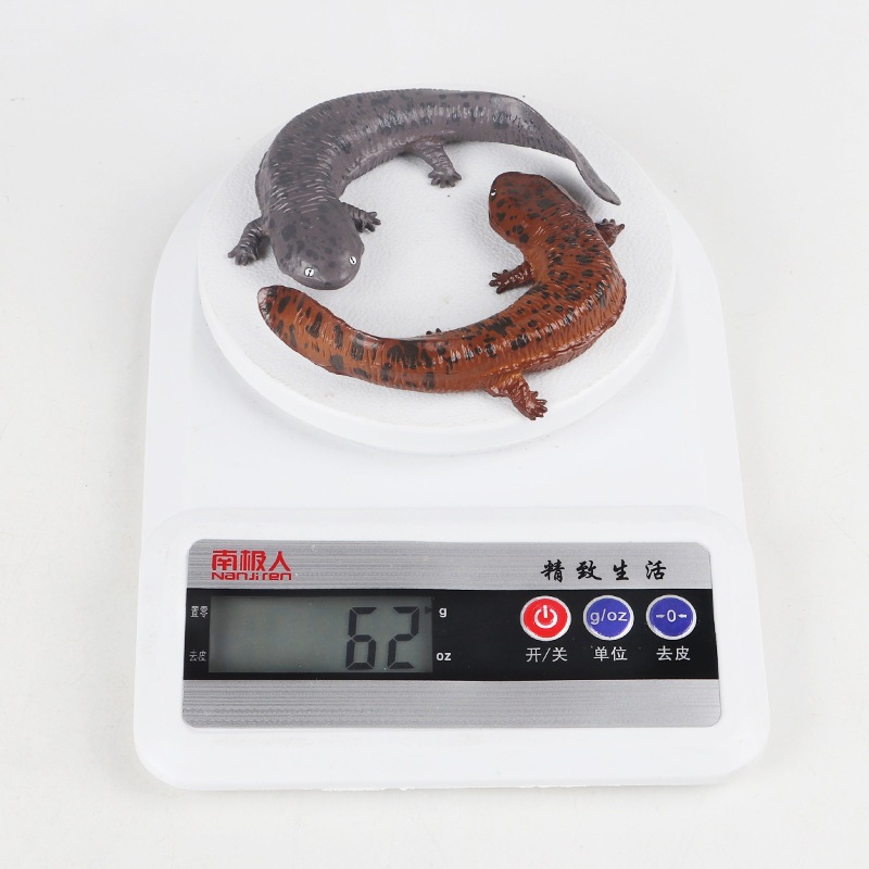 Mô phỏng lưỡng cư mô hình rắn tĩnh búp bê cá Cryptobranchodea khổng lồ salamander trẻ em nhận thức đồ chơi cát bàn trang trí