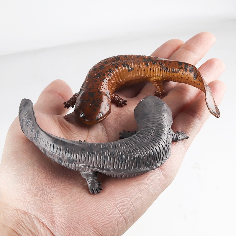 Mô phỏng lưỡng cư mô hình rắn tĩnh búp bê cá Cryptobranchodea khổng lồ salamander trẻ em nhận thức đồ chơi cát bàn trang trí