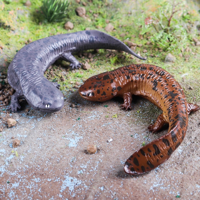 Mô phỏng lưỡng cư mô hình rắn tĩnh búp bê cá Cryptobranchodea khổng lồ salamander trẻ em nhận thức đồ chơi cát bàn trang trí
