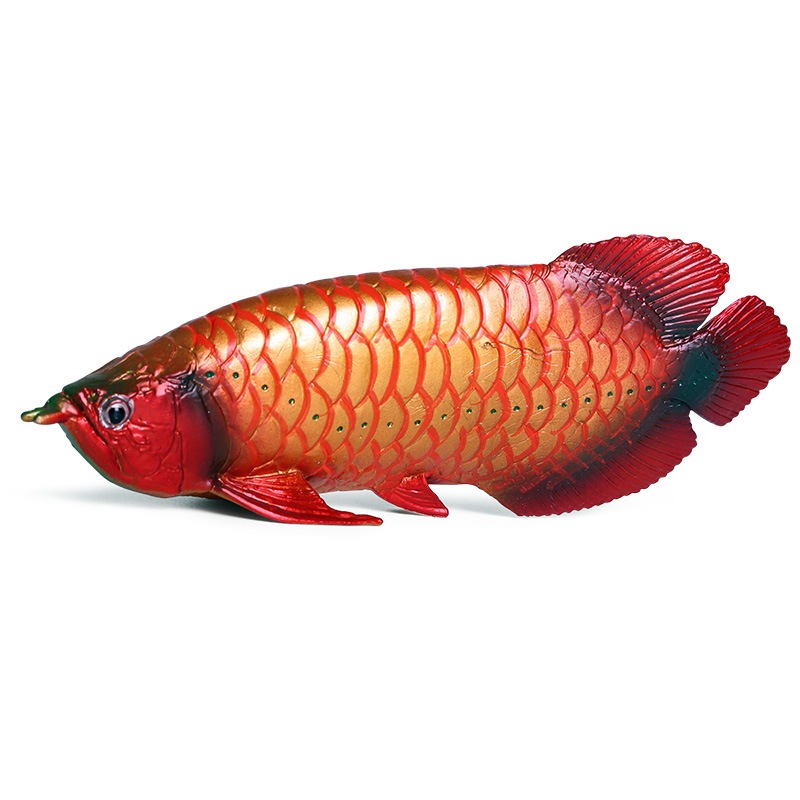 Đồ chơi mô hình cá rồng vàng/bạc, cá đỏ, cá biển, cá nước ngọt, trang trí tượng