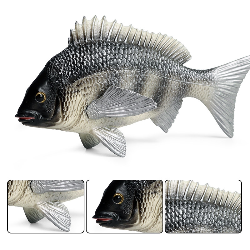 Trẻ em mô phỏng động vật mô hình rắn nước ngọt cá rô phi Châu Phi crucian cá chép nhận thức khoa học giáo dục đại dương đồ chơi trang trí