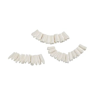 NISSIN Bộ 32 Mô Hình Răng Giả Cho Nha Sĩ Nha Khoa