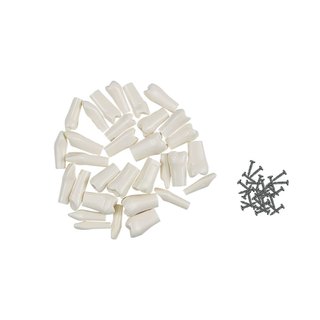 NISSIN Bộ 32 Mô Hình Răng Giả Cho Nha Sĩ Nha Khoa