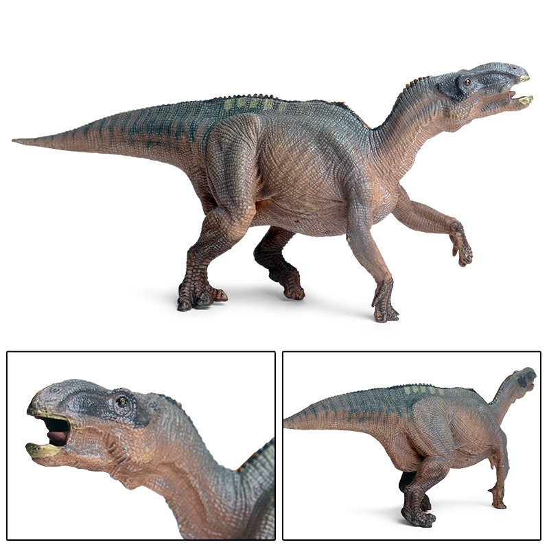 Đồ chơi khủng long Jurassic Mô phỏng khủng long rắn Mô hình iguanodon Động vật nhận thức Nhựa Trang trí mô hình